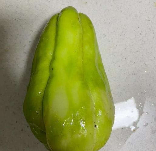 佛手瓜发红还能吃吗?佛手瓜变黄是否老了