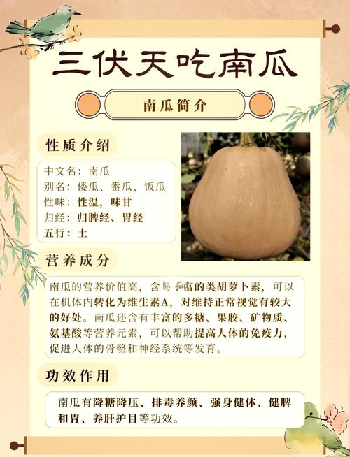 南瓜是感光食物嘛?南瓜含什么色素