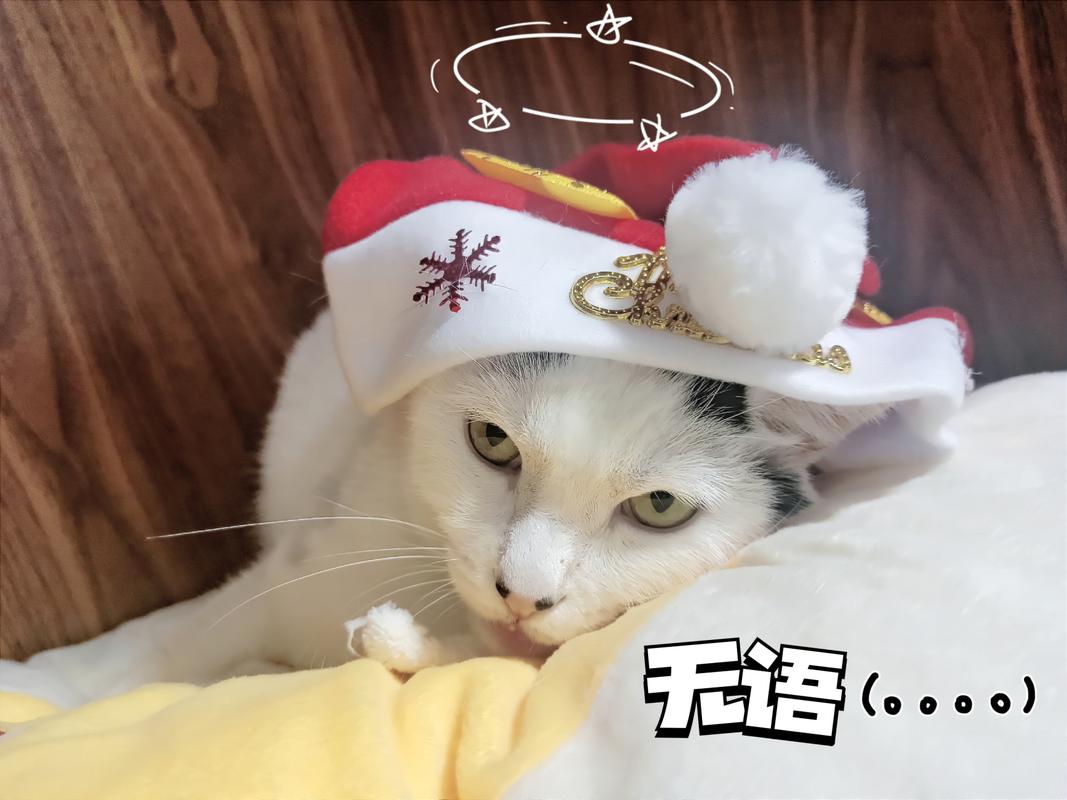 囧的表情包是什么意思?囧的表情包是什么意思图片