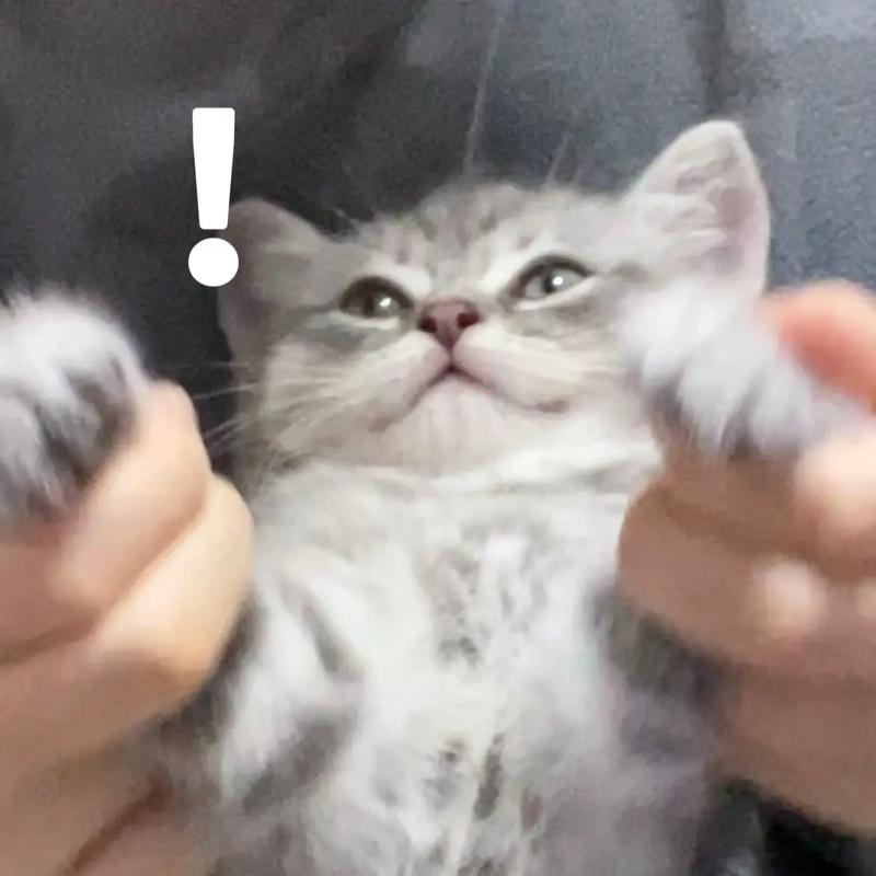 囧的表情包是什么意思?囧的表情包是什么意思图片