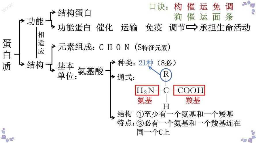 细胞中蛋白质种类?细胞中蛋白质种类存在差异的原因