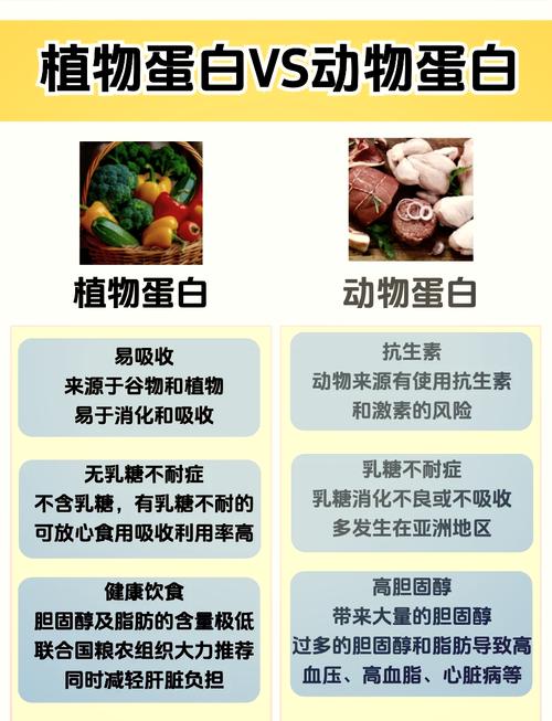 细胞中蛋白质种类?细胞中蛋白质种类存在差异的原因