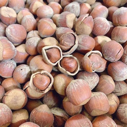 请问正宗的榛子是什么味道？榛子口味