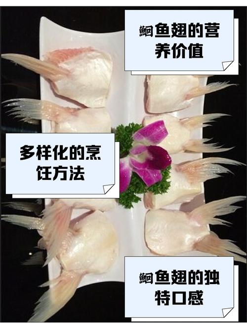 清蒸鱼翅最简单的做法窍门?清蒸鮰鱼翅