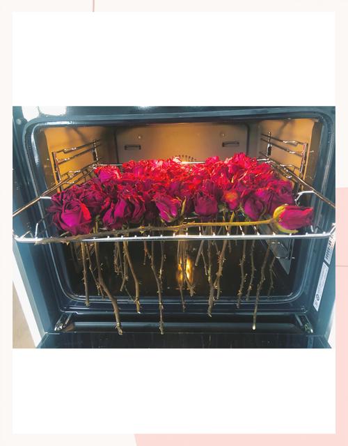 烤箱烘干玫瑰花蕾怎么做的？烤箱烘干玫瑰花蕾怎么做的视频