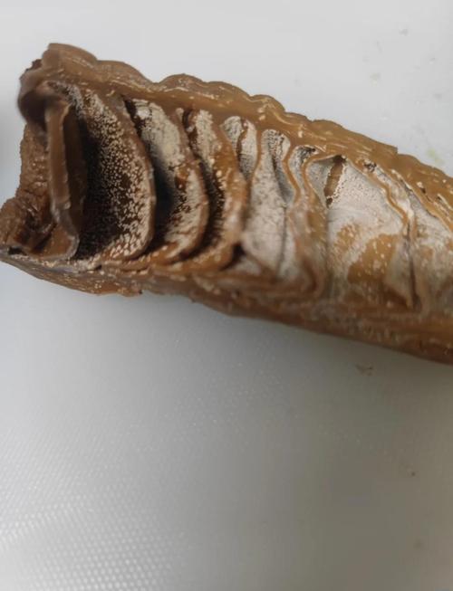 冬笋里面有白色的颗粒能吃吗?冬笋中间有白色粉末是什么