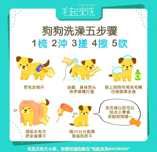 晴天小狗怎么洗澡?晴天小狗怎么点孕才能成功