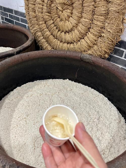 酒酿做菜的做法大全?用酒酿做的菜