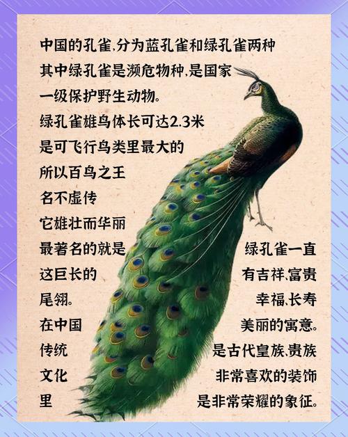孔雀的特点和生活特征?孔雀的特点和生活特征是什么