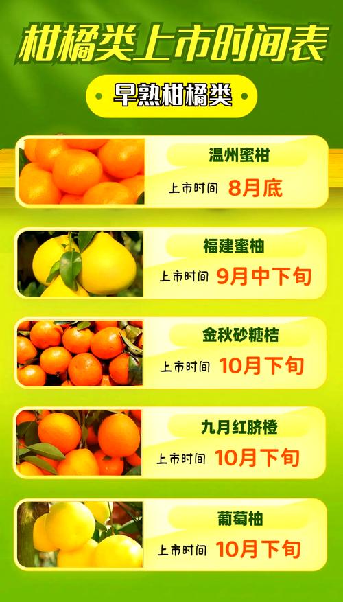 橘子什么时间吃比较好？橘子什么时间吃比较好呢