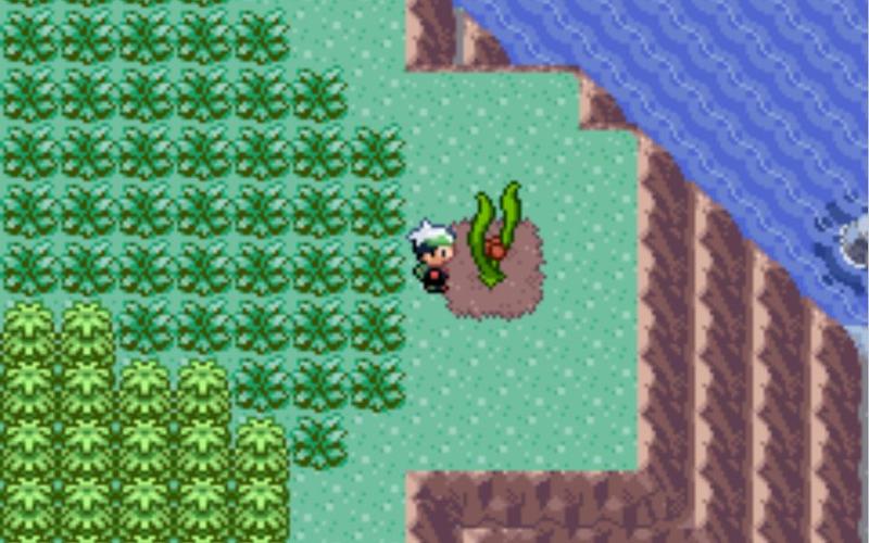 口袋妖怪绿宝石梦幻船票？口袋妖怪绿宝石 船票