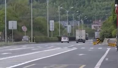 货车撞死狗后二次事故致老人丧命：司机被判次要责任(图1)