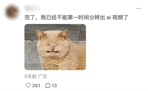 刷到一个又一个假视频后 我不敢相信互联网了(图2)