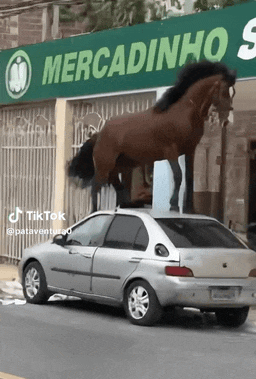 刷到一个又一个假视频后 我不敢相信互联网了(图6)