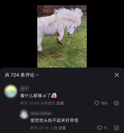 刷到一个又一个假视频后 我不敢相信互联网了(图8)