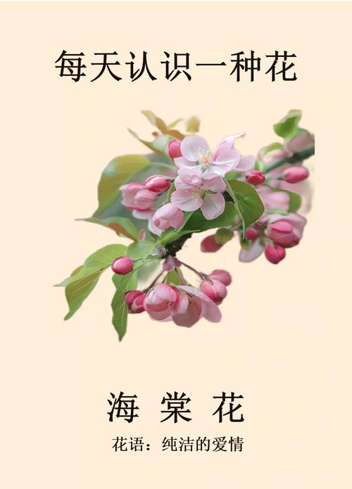 海棠花最火的一句?海棠花的经典句子