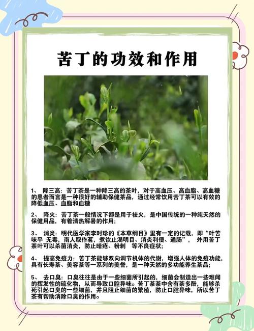苦丁茶是用啥制成的？苦丁茶是什么制作的