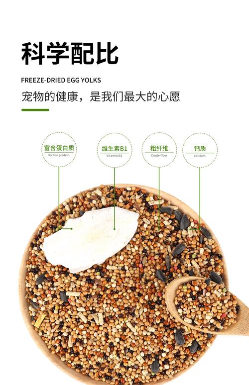 玄凤鹦鹉爱吃什么零食？玄凤鹦鹉爱吃的零食