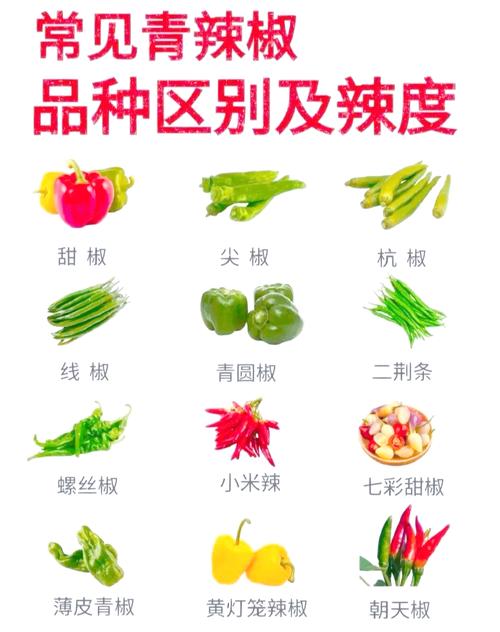 辣椒的辣度由什么决定？辣椒的辣度由什么决定