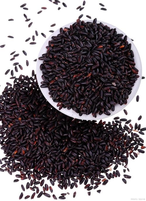 黑米不浸泡可以吗？黑米不泡可以直接蒸米饭吗