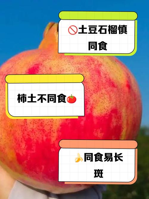 土豆和橘子能在一块儿吃吗?土豆和橘子可以同吃吗