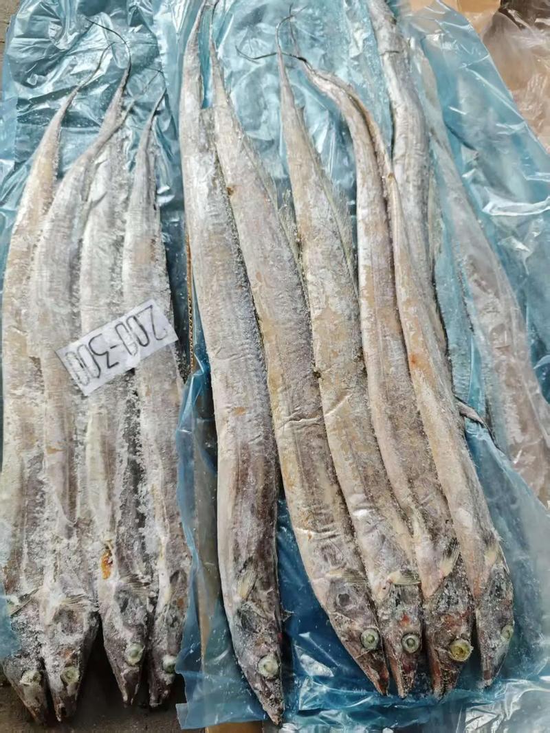 冻带鱼肉发黄还能吃吗?冰冻带鱼肉发黄