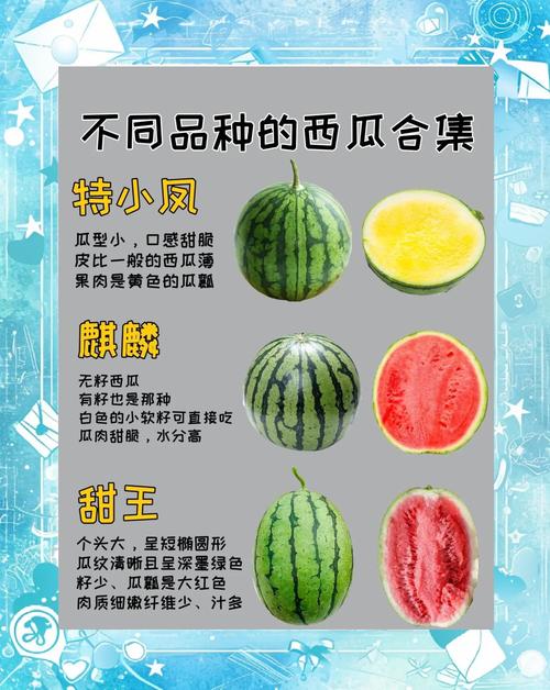 苹果和西瓜哪个好吃一点?苹果和西瓜的区别