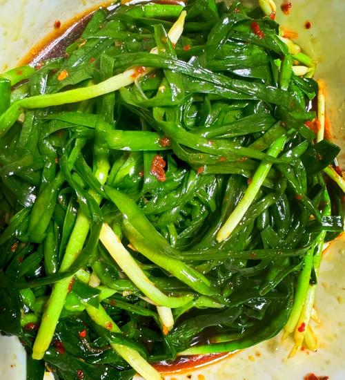 韭菜出水怎么办小妙招?韭菜出水怎么办小妙招图片