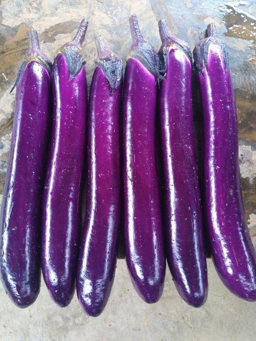 茄子紫色好还是深紫色好？紫茄子颜色深是不是很老