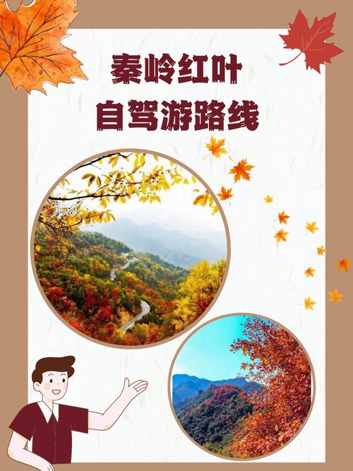 秦岭红叶自驾游路线？秦岭赏红叶5条公路