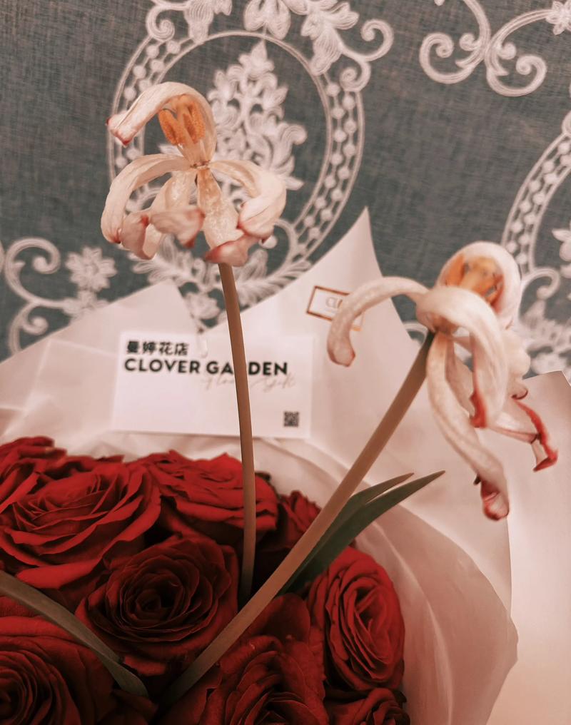 郁金香能晒成干花吗?郁金香能晒成干花吗图片