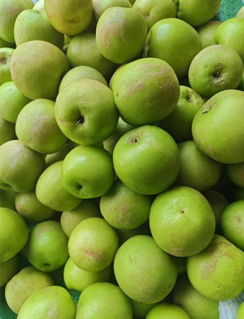 苹果梨是苹果还是梨口感怎么样？苹果梨是不是水果