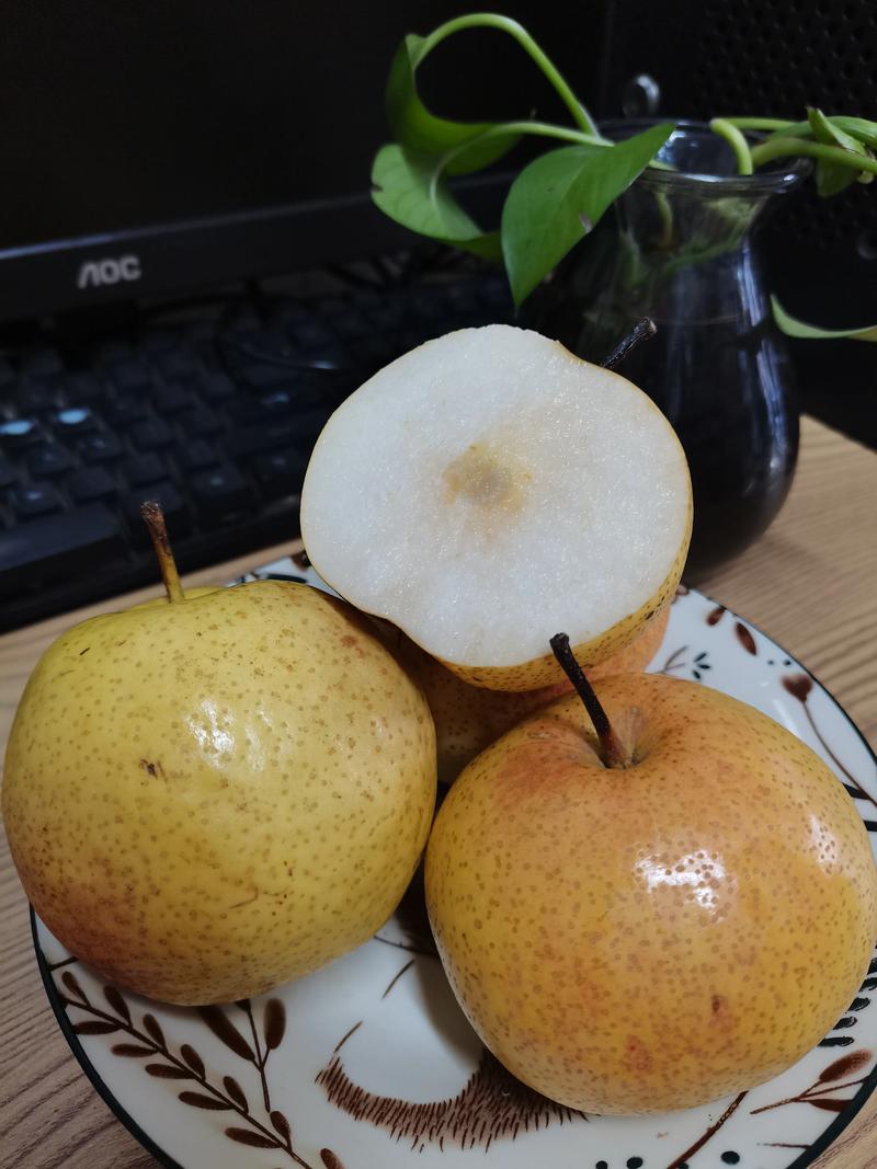 苹果梨是苹果还是梨口感怎么样?苹果梨是不是水果