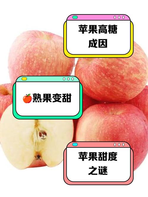 苹果梨是苹果还是梨口感怎么样?苹果梨是不是水果