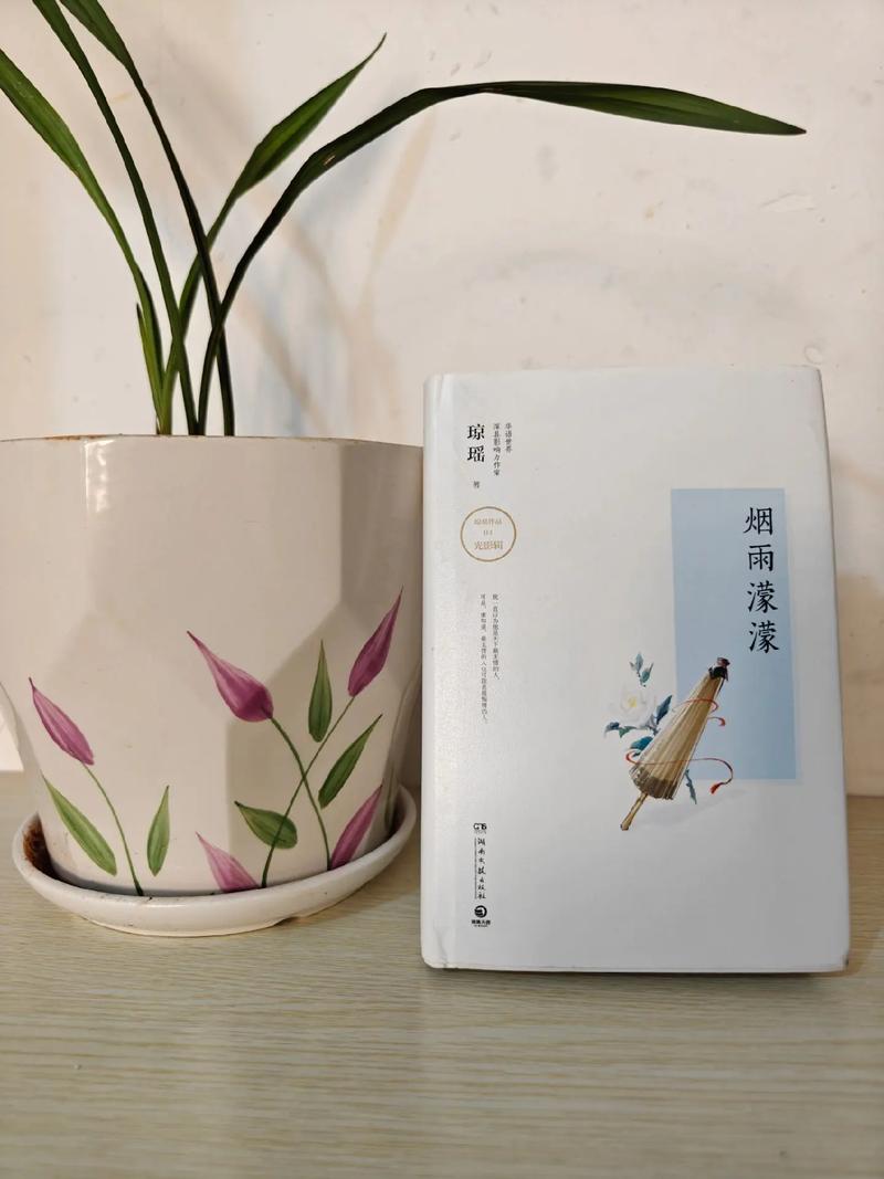 琼瑶小说烟雨蒙蒙的结局?琼瑶小说烟雨濛濛