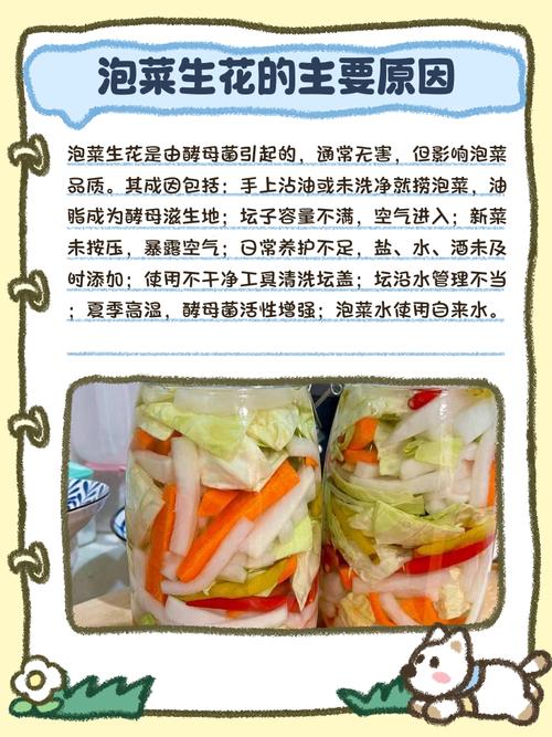 泡菜长花怎么办??泡菜长花怎么办小妙招