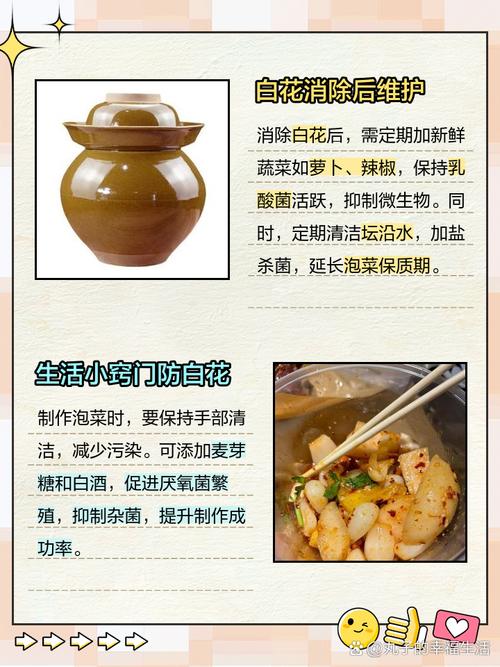 泡菜长花怎么办??泡菜长花怎么办小妙招