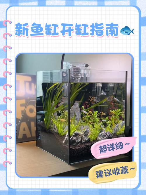 求教新缸如何开缸养鱼呢？新缸怎么开缸养鱼