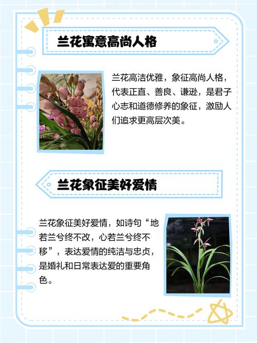 兰有什么特殊含义吗？兰象征着什么意义和人生的追求