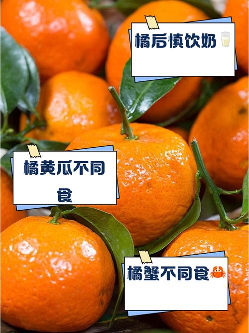 吃了橘子能吃饼干吗?吃完橘子可以吃零食吗