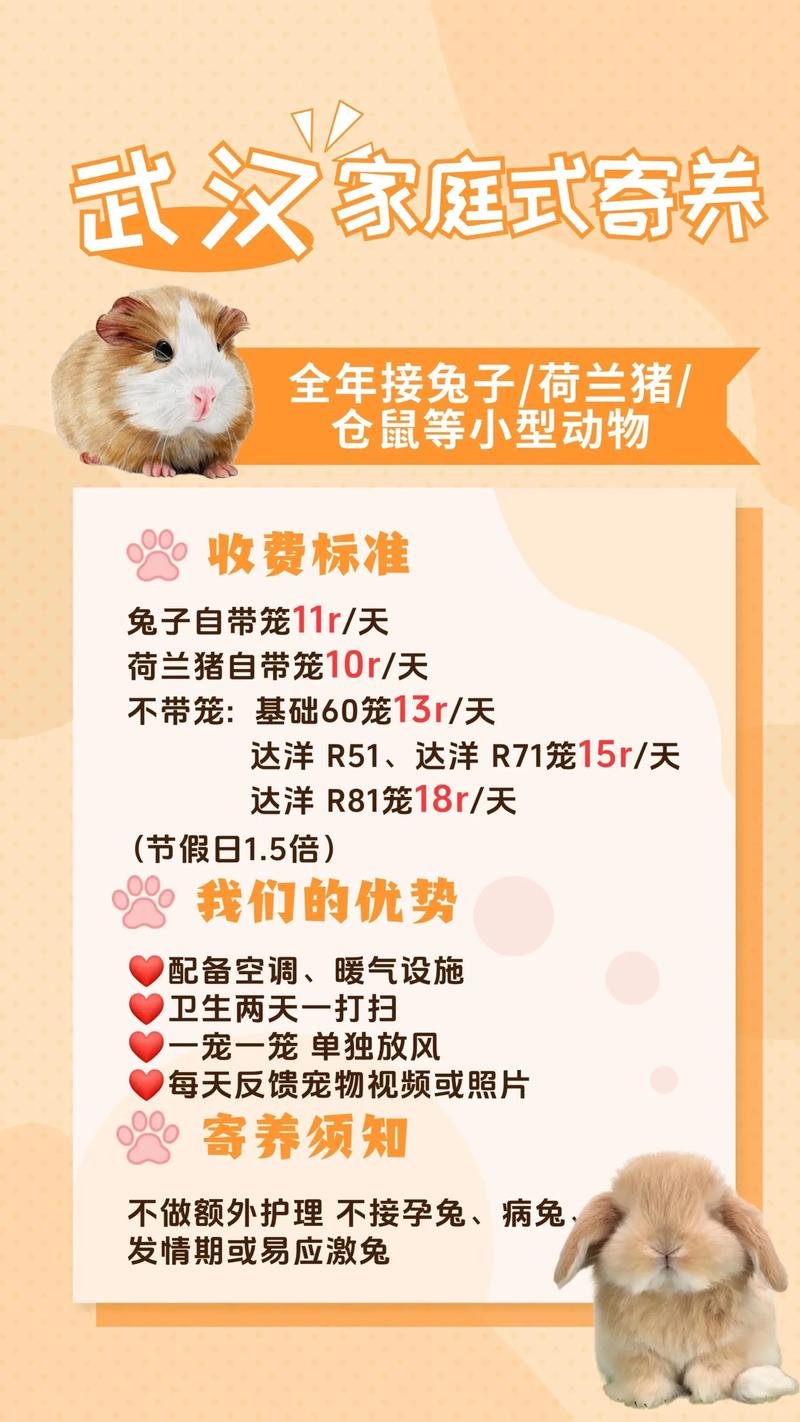 可以邮寄活兔子吗？快递能寄活兔子吗