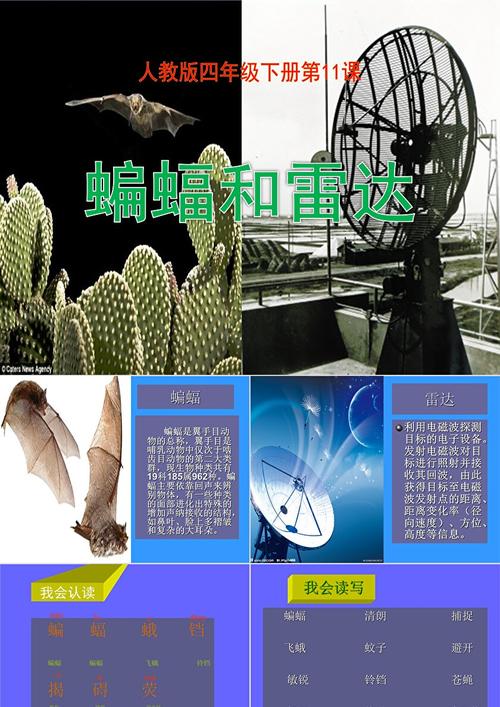 科学家从蝙蝠身上发明了？科学家从蝙蝠身上发明了雷达,雷达的天线