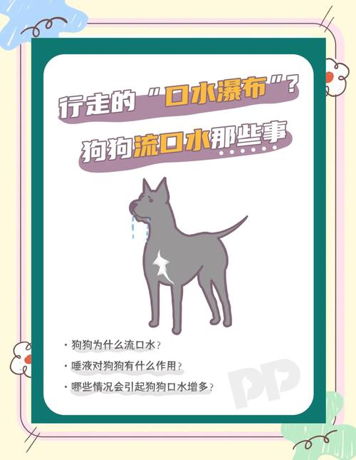 狗狗口水有什么作用?狗狗口水太多怎么回事