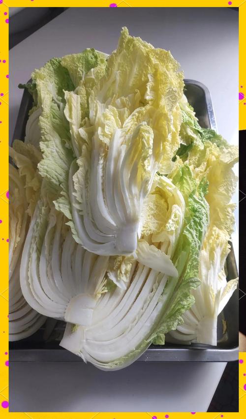 靖远酸白菜的腌制方法?陕北腌酸白菜