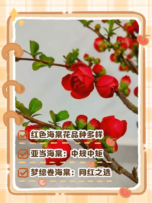 开红色花是什么树？开红色花的树有哪些品种