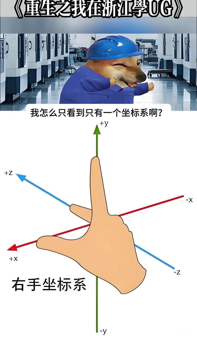 局部坐标系什么意思？局部坐标系有什么用