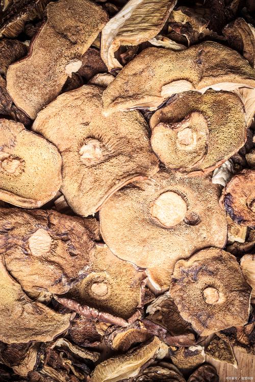 泡发好的猴头菇怎样储存？泡发好的猴头菇怎样储存时间长