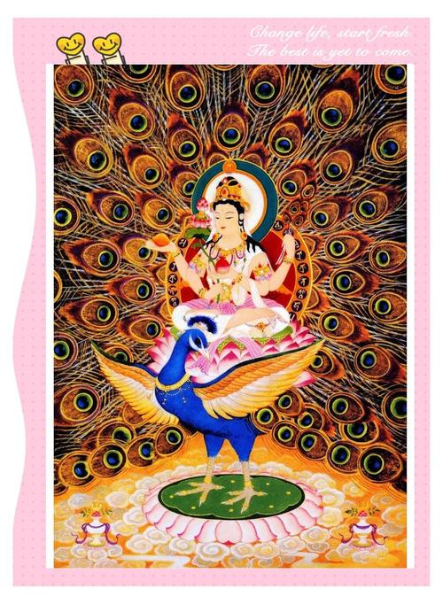 孔雀和佛教的关系？孔雀和佛祖