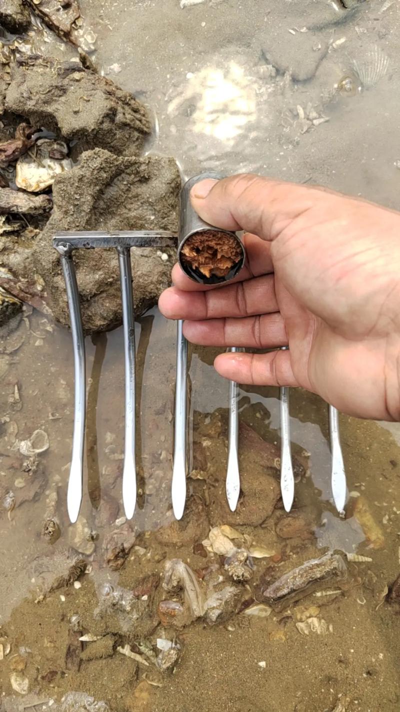 北海哪里有螺耙卖？北海哪里有螺耙卖的