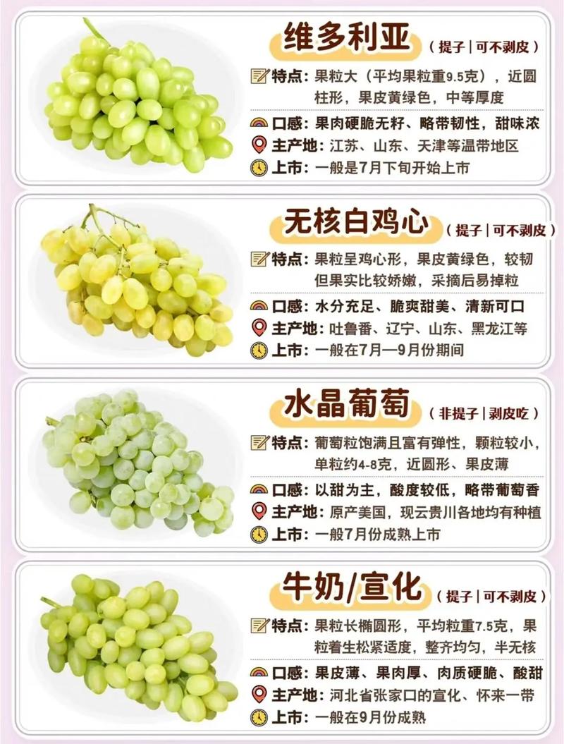 葡萄科的形态特征有哪些？葡萄科的果实类型